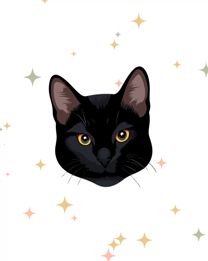 Portrait of Alika a black cat with yellow eyes from Bewitching Andie and Beyond Baga Shores.